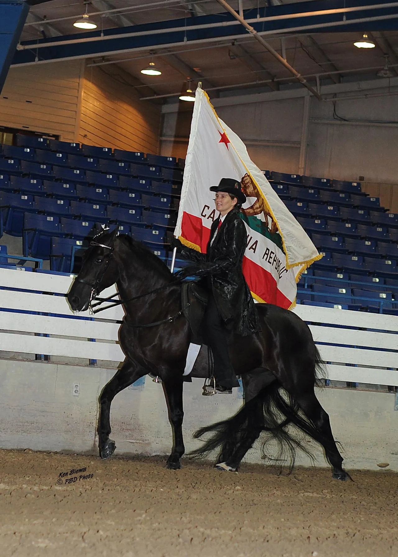 Venus's Dollar General