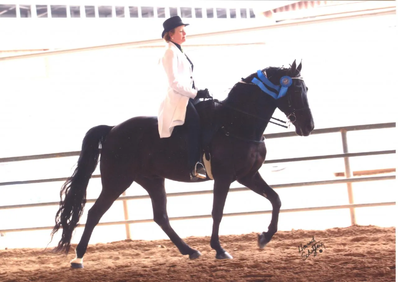 Venus's Dollar General