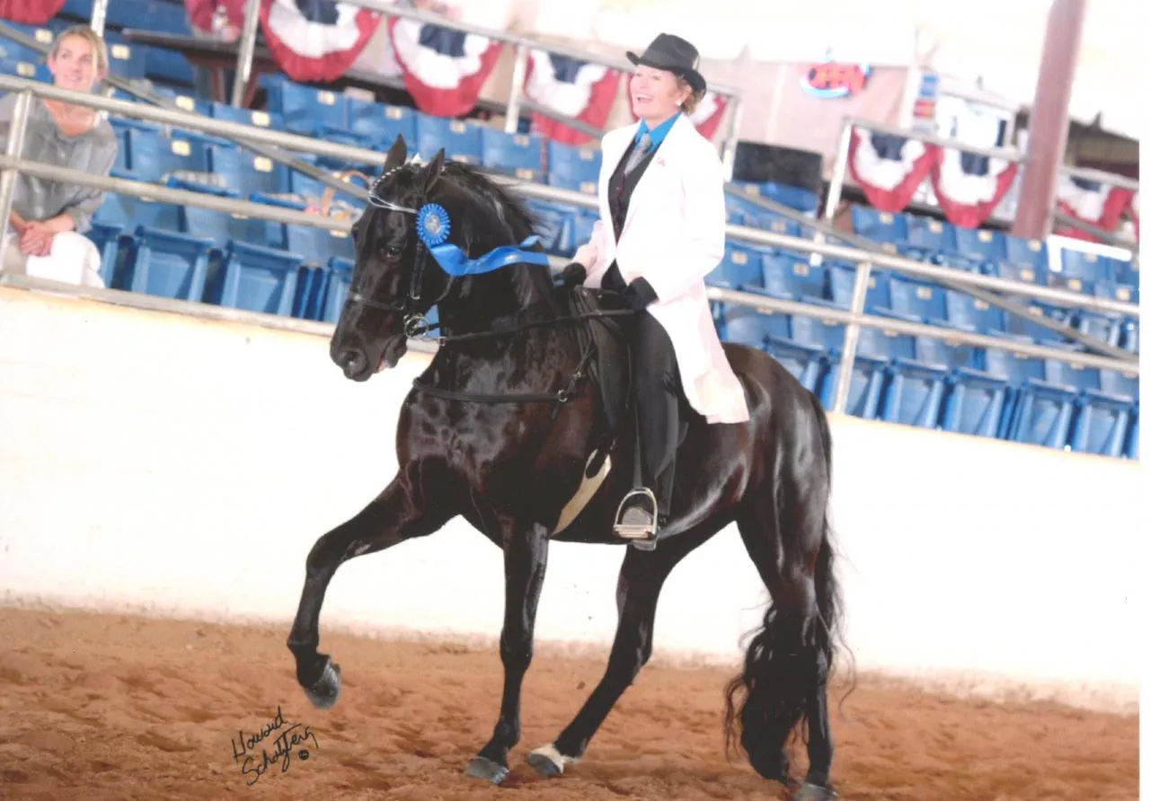 Venus's Dollar General