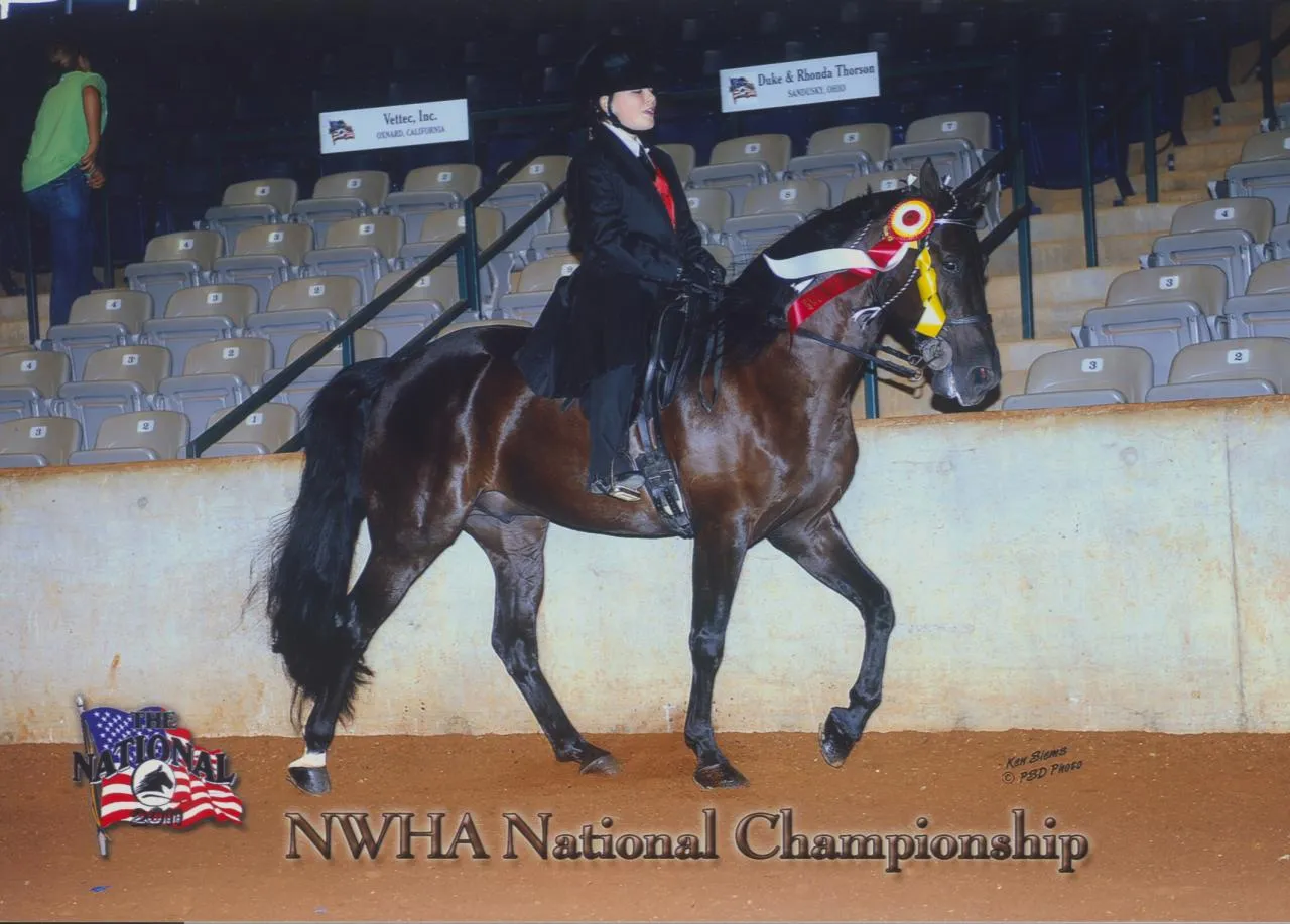 Venus's Dollar General