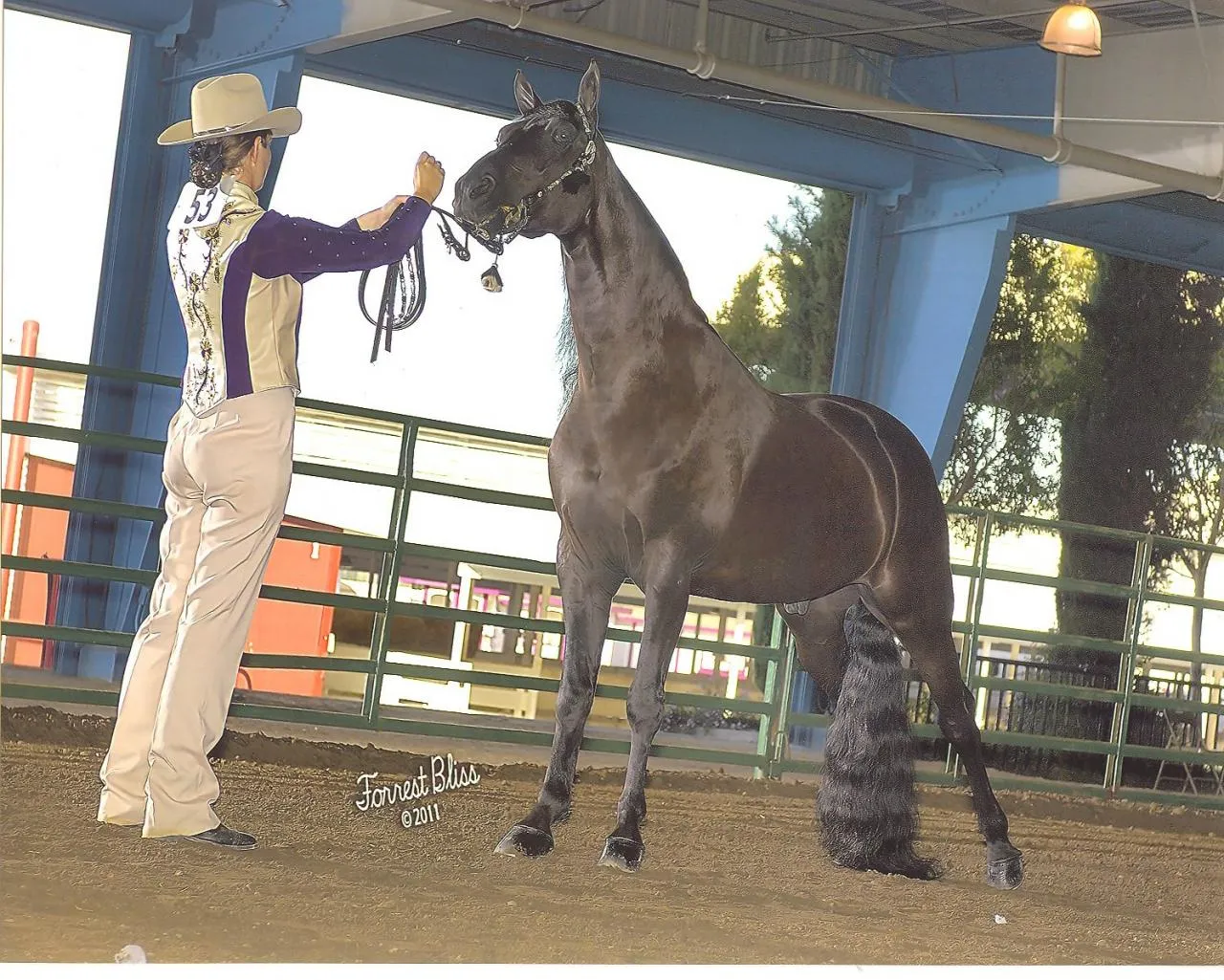 Venus's Dollar General