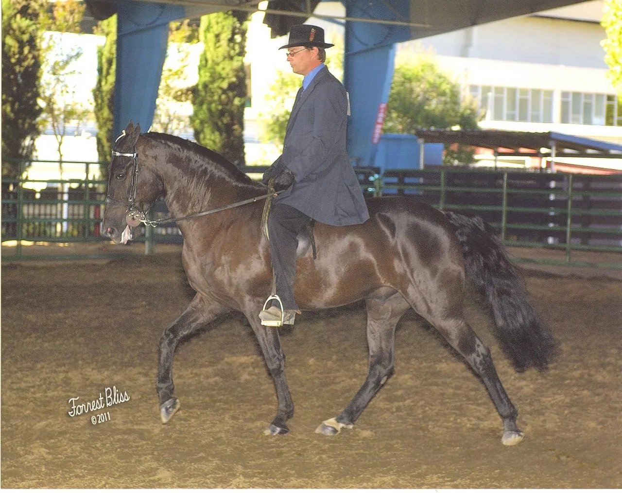 Venus's Dollar General