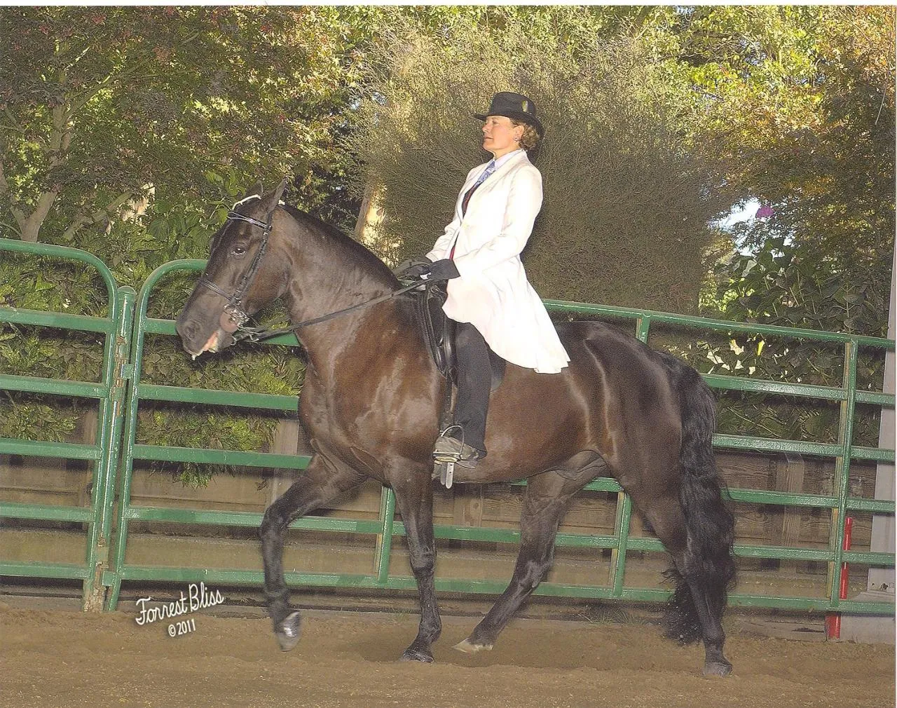 Venus's Dollar General