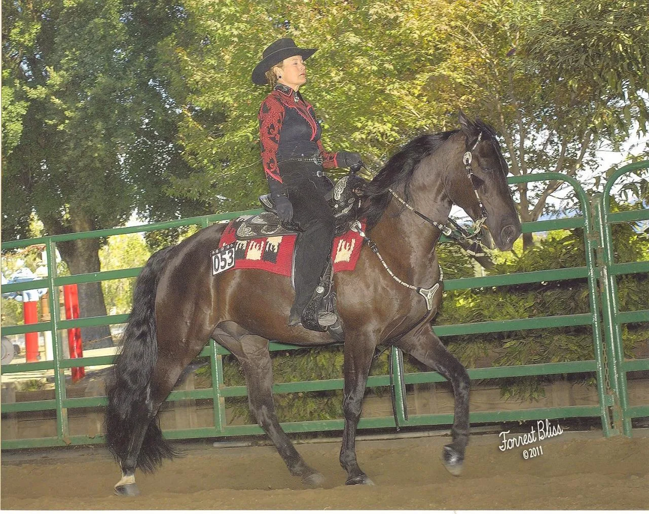 Venus's Dollar General