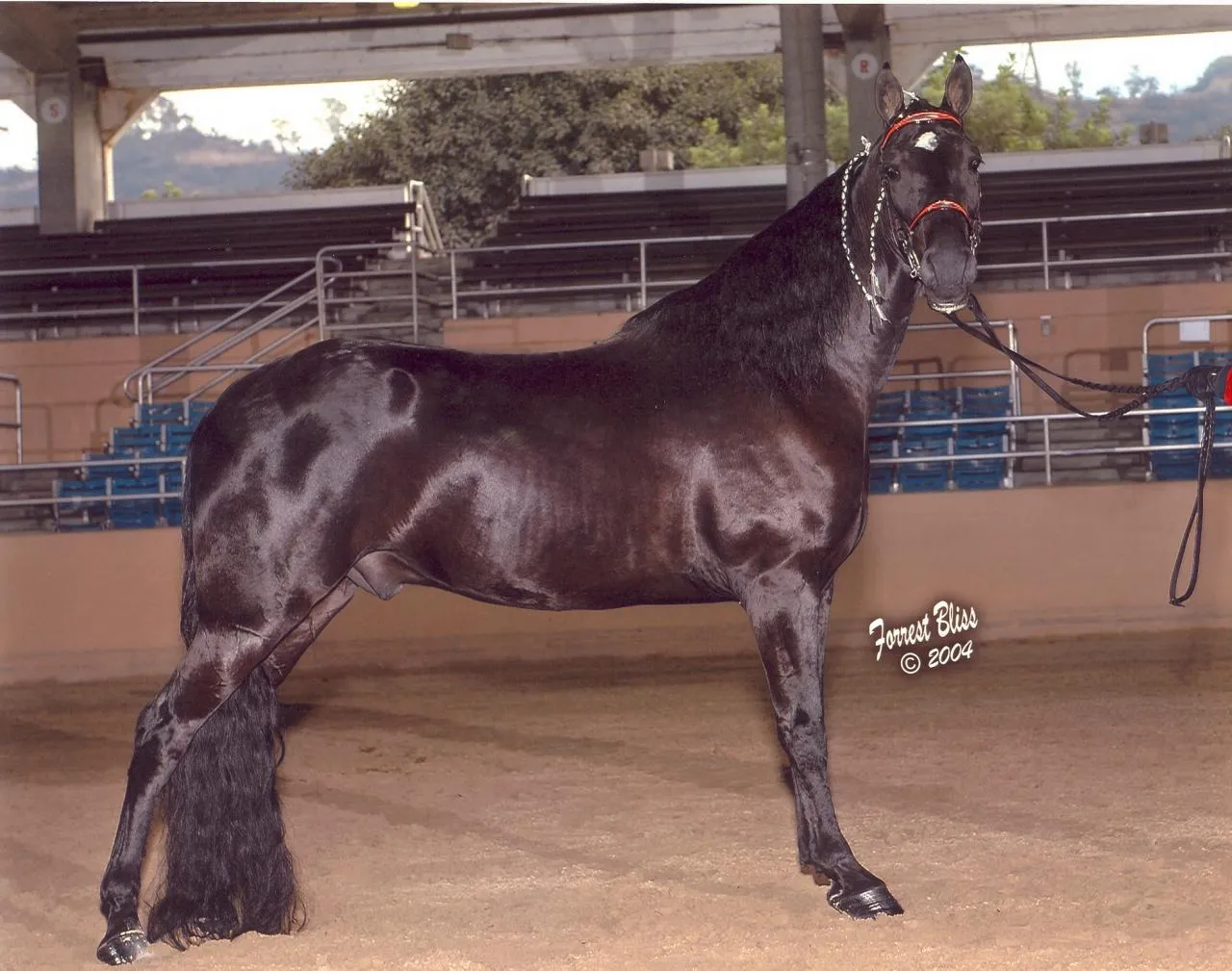 Double Pride's Legacy