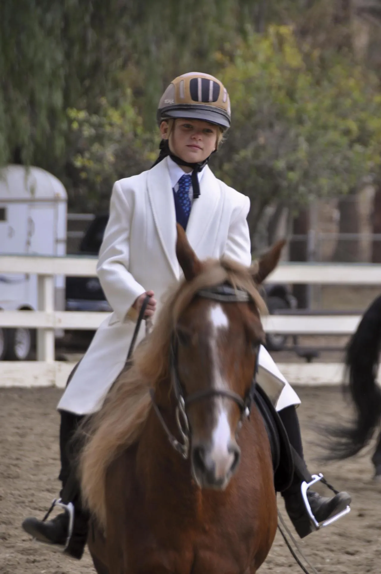 Generator's Royal Rhythm