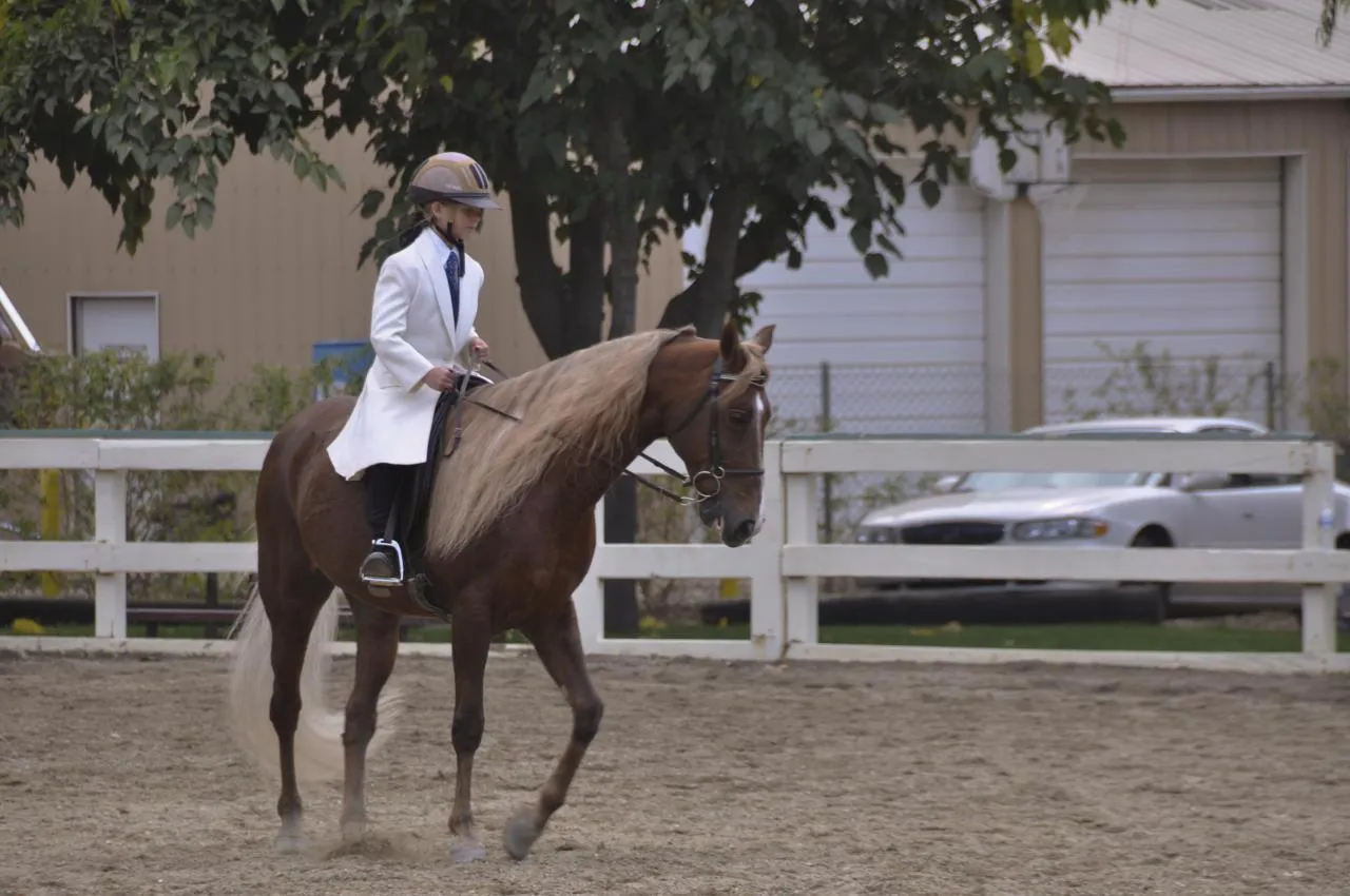 Generator's Royal Rhythm