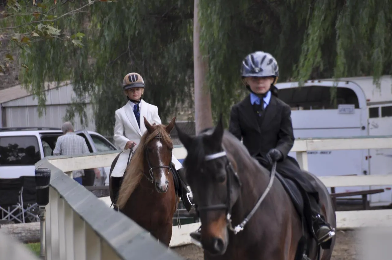 Generator's Royal Rhythm