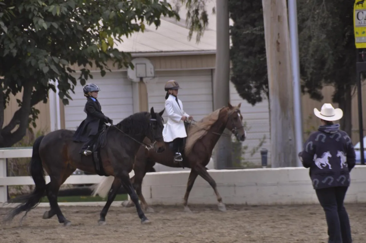 Generator's Royal Rhythm