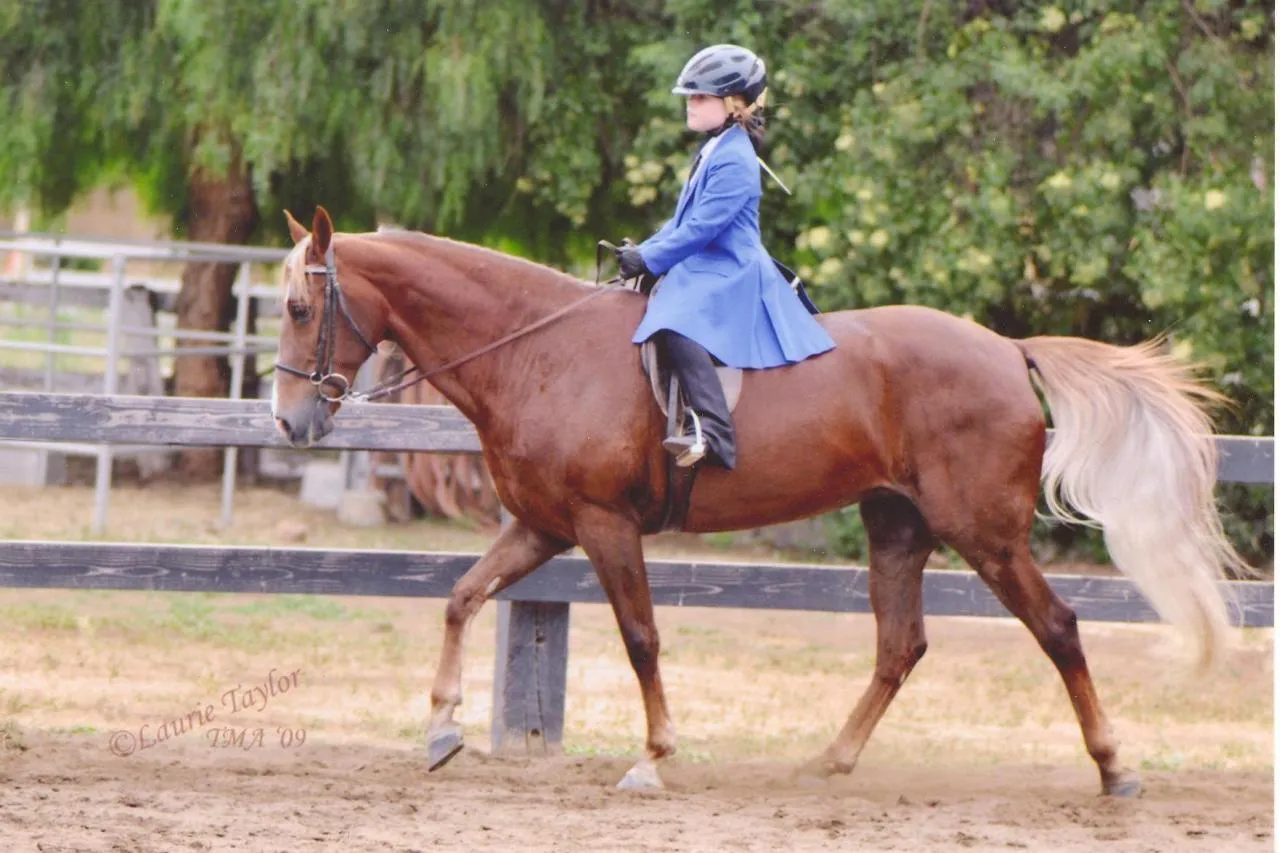 Generator's Royal Rhythm