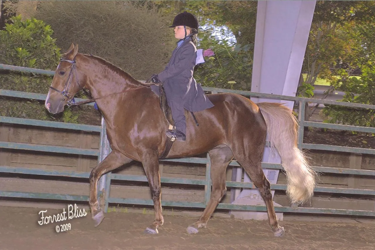 Generator's Royal Rhythm