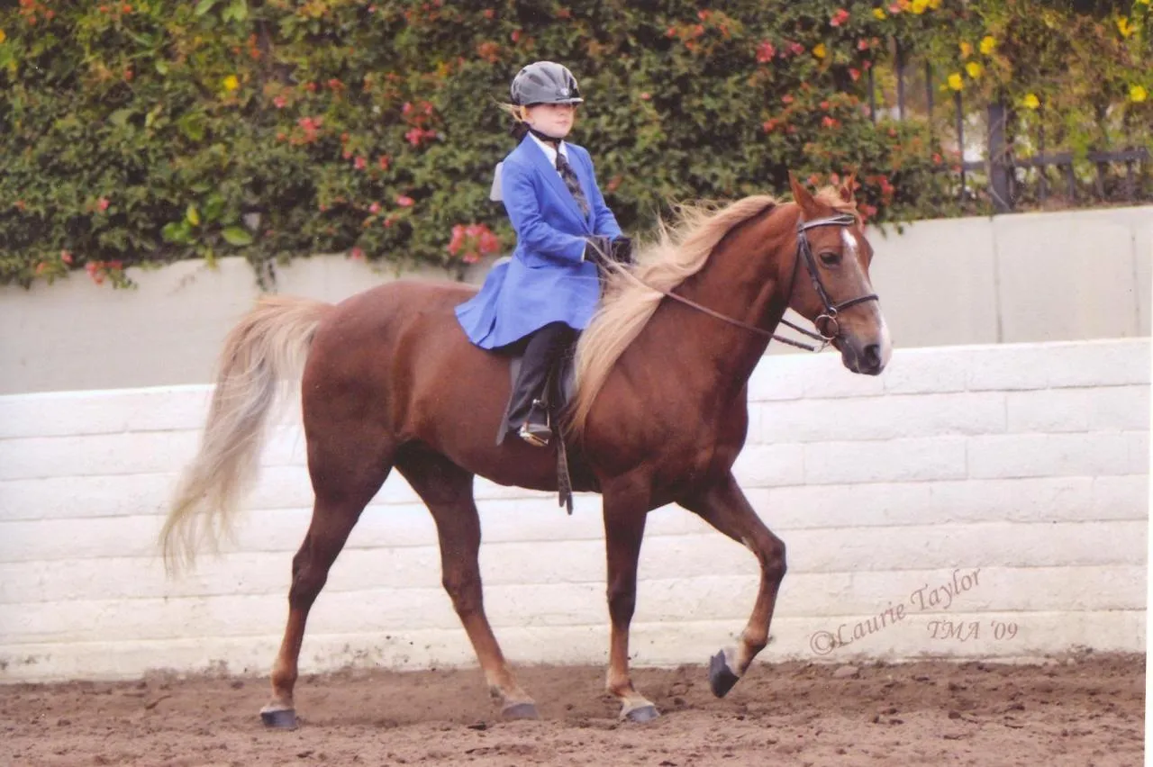 Generator's Royal Rhythm