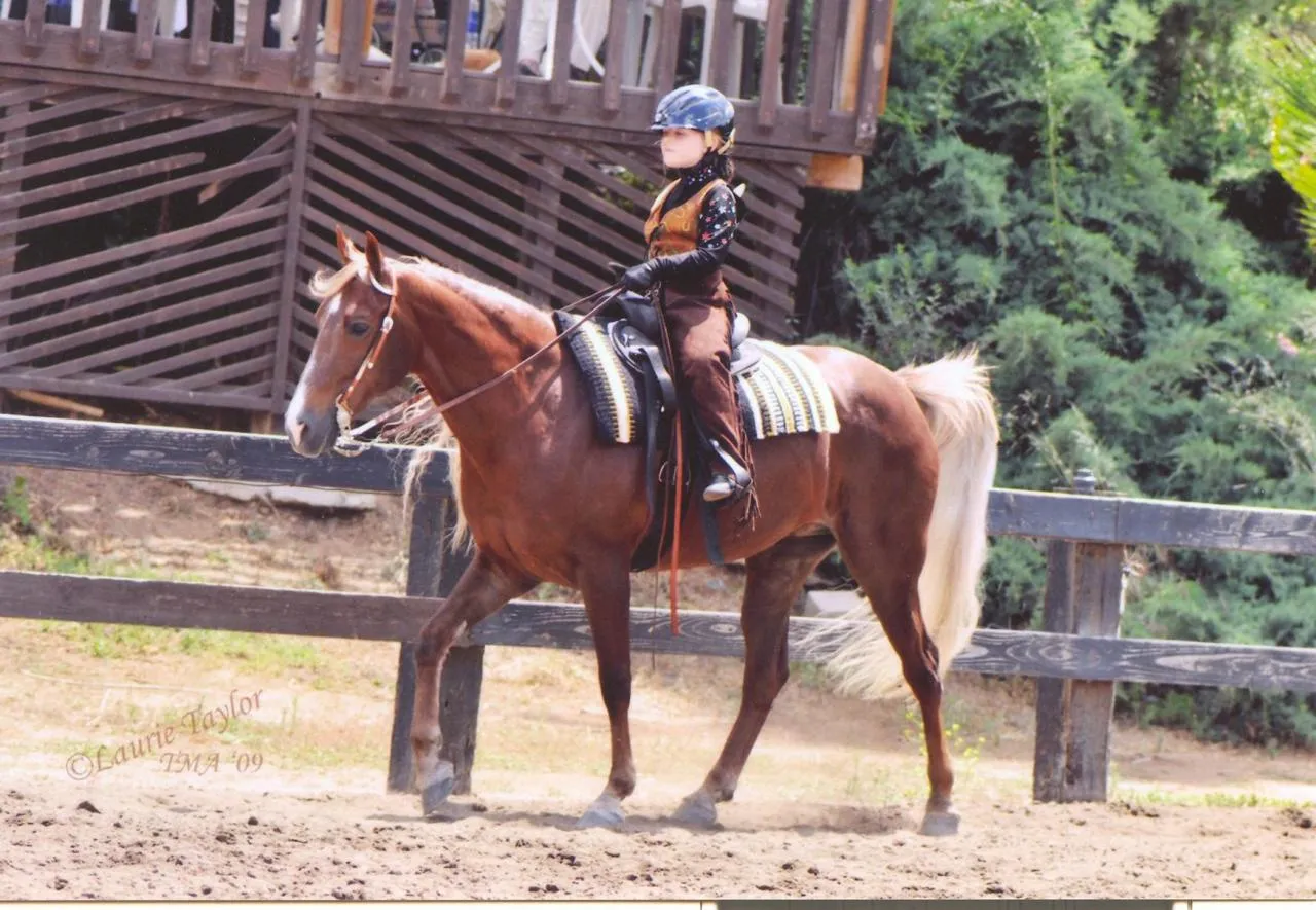 Generator's Royal Rhythm