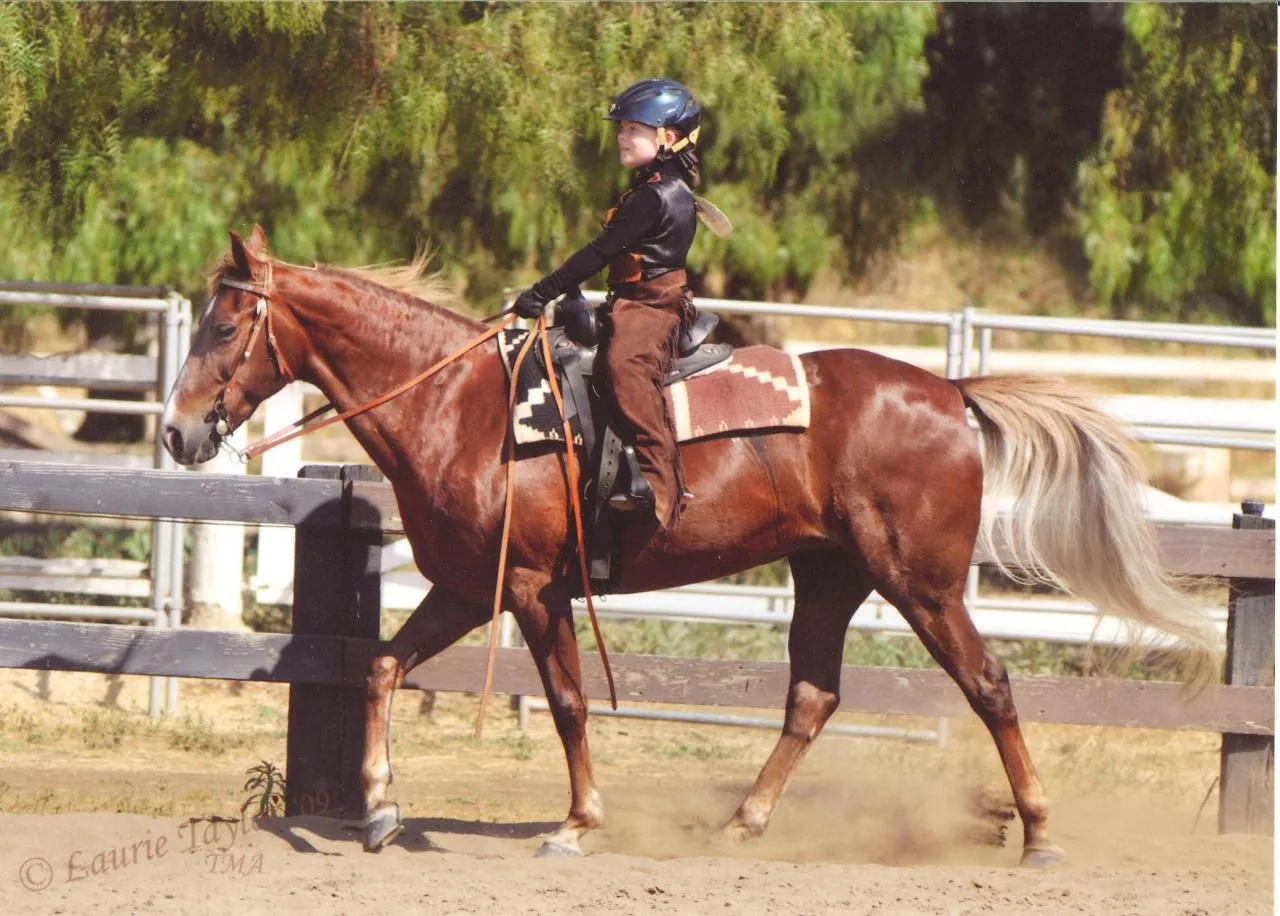 Generator's Royal Rhythm