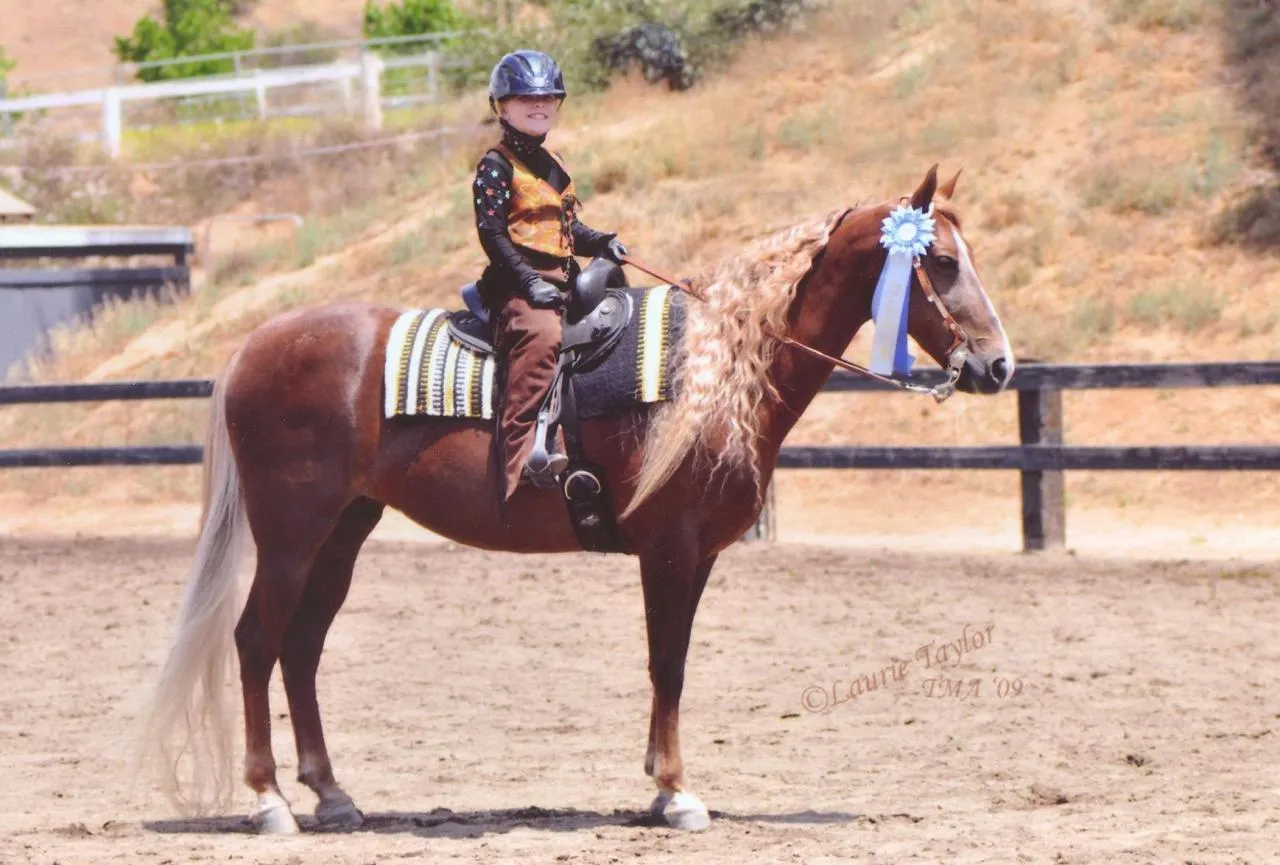 Generator's Royal Rhythm