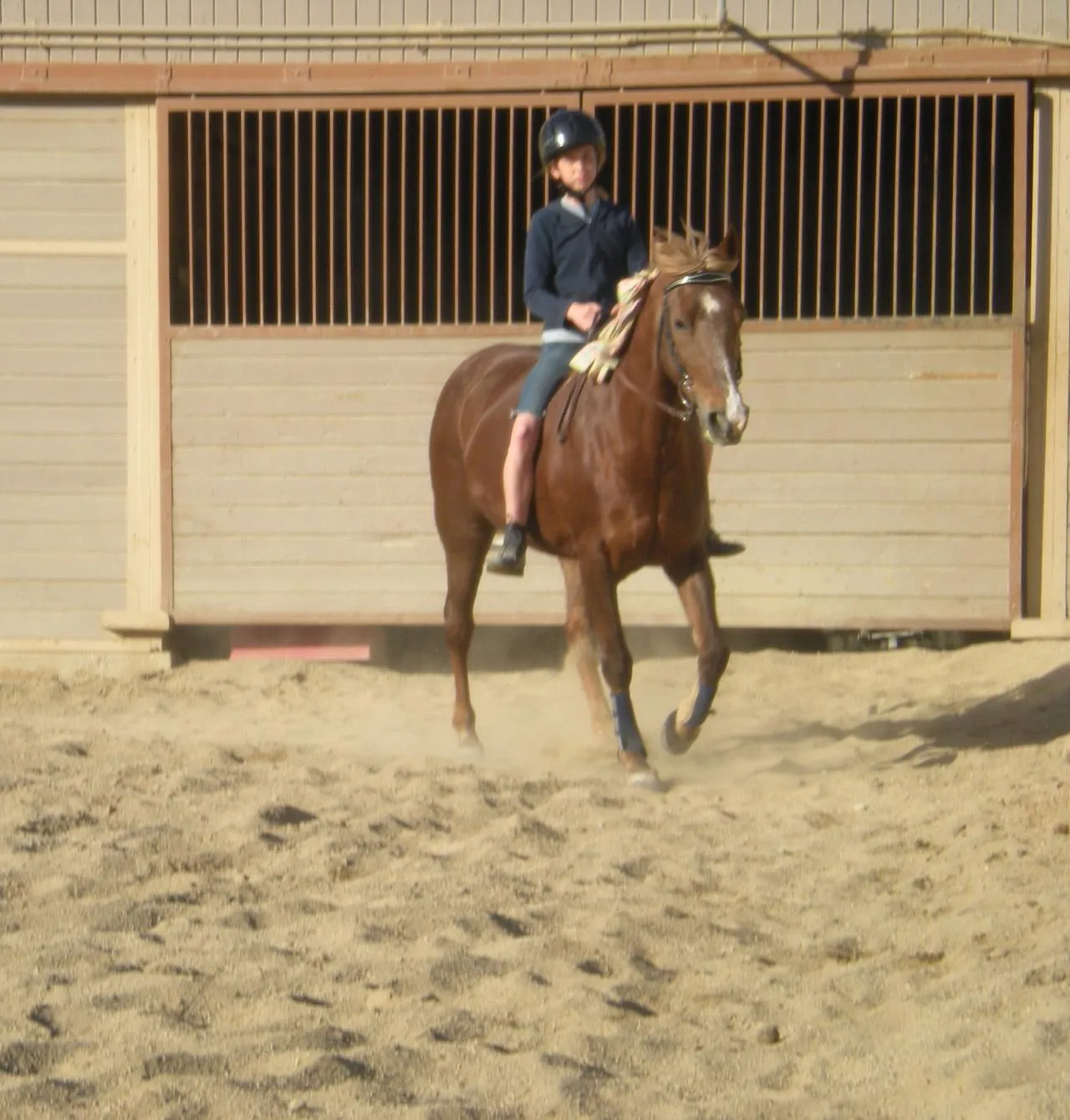 Generator's Royal Rhythm