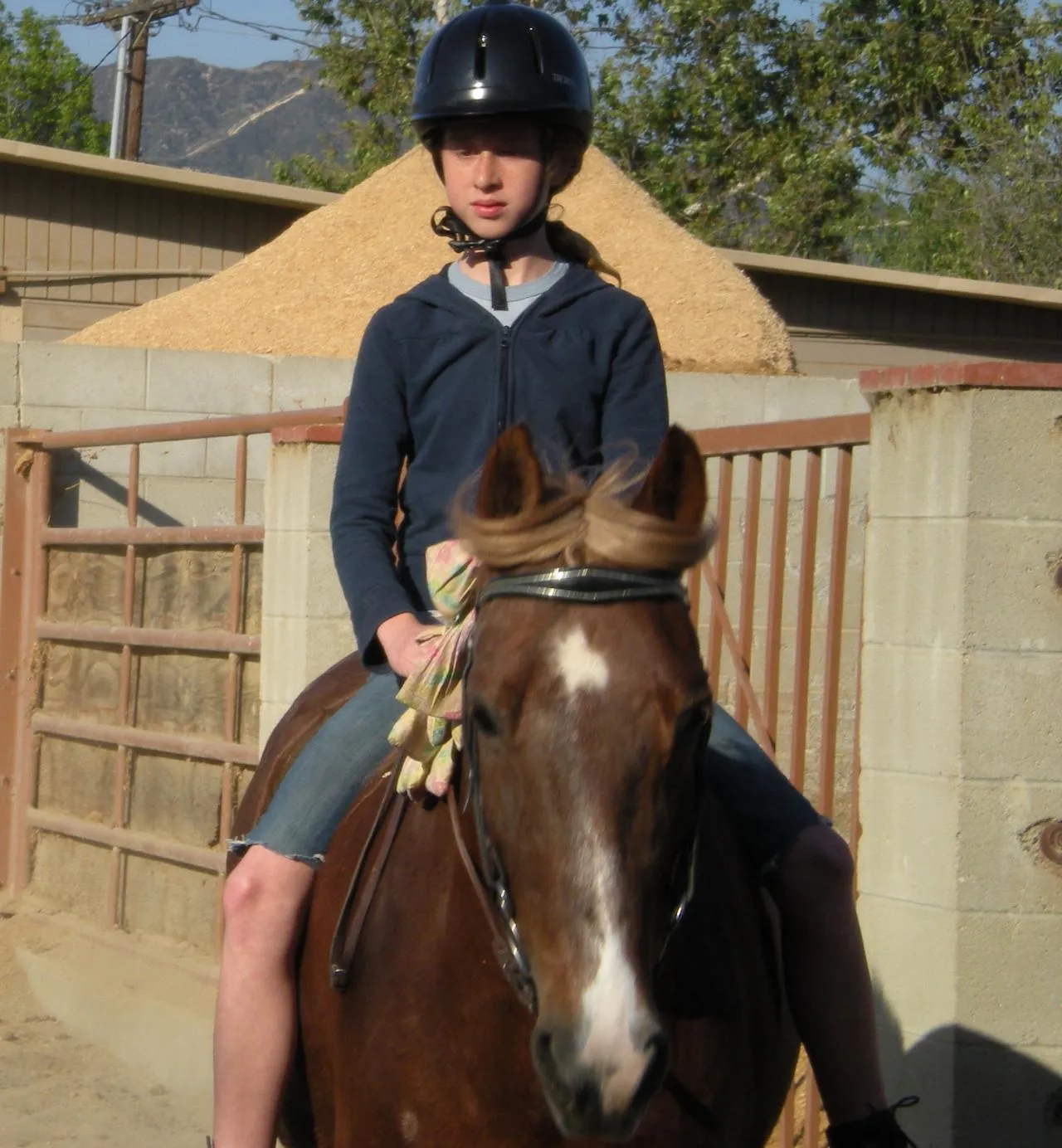 Generator's Royal Rhythm