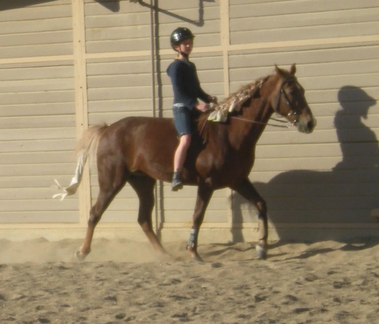 Generator's Royal Rhythm