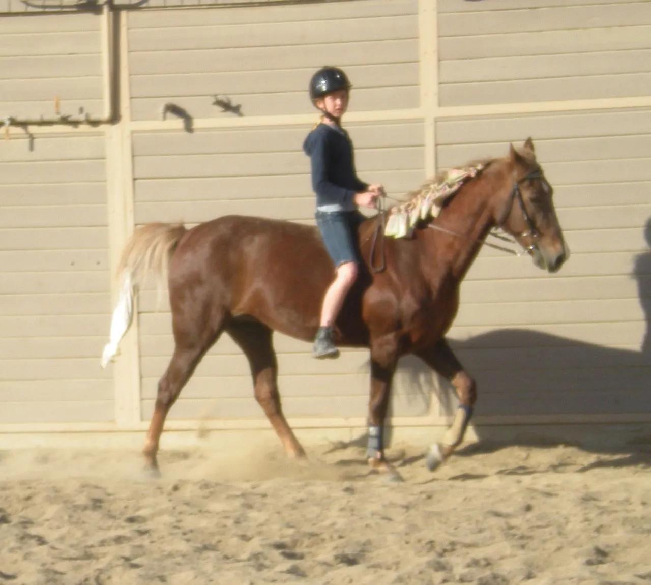 Generator's Royal Rhythm