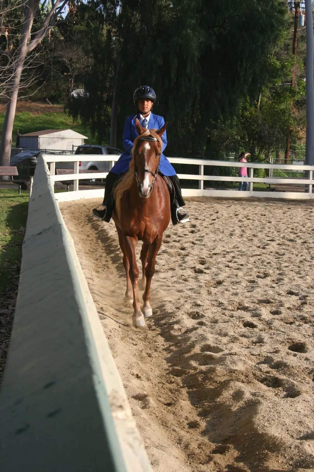 Generator's Royal Rhythm