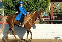 Generator's Royal Rhythm