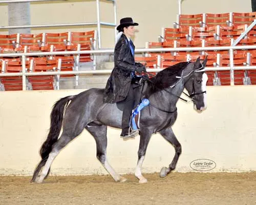 He's Shakin Not Stirred