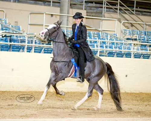 He's Shakin Not Stirred