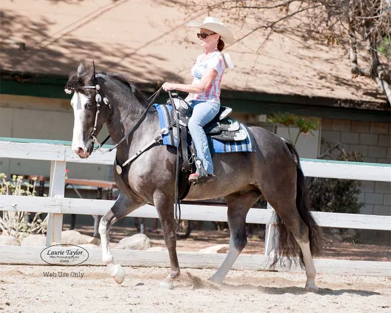 He's Shakin Not Stirred