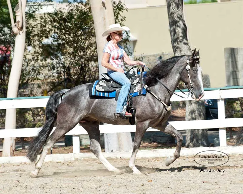 He's Shakin Not Stirred