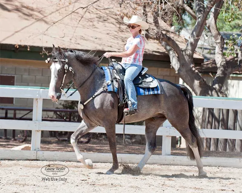 He's Shakin Not Stirred