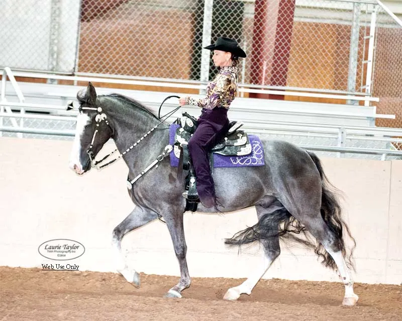 He's Shakin Not Stirred