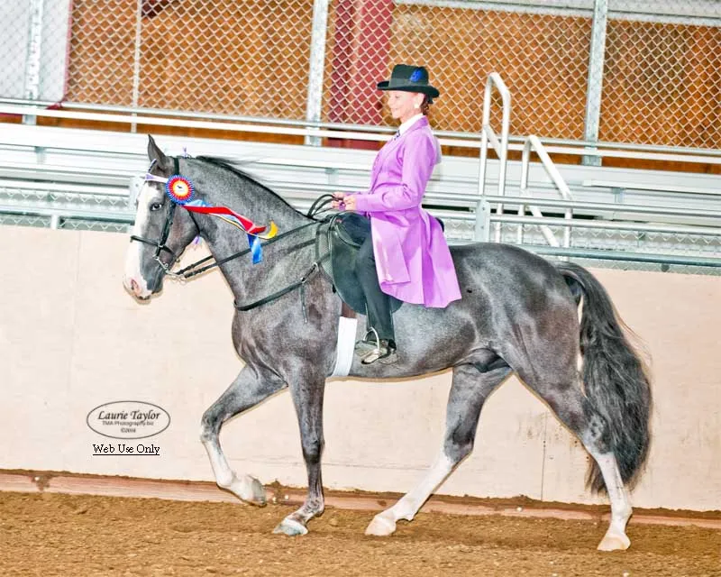 He's Shakin Not Stirred