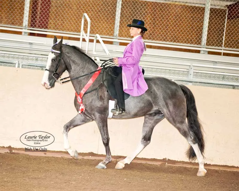 He's Shakin Not Stirred