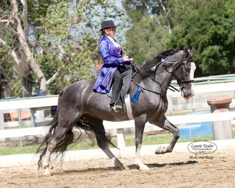 He's Shakin Not Stirred