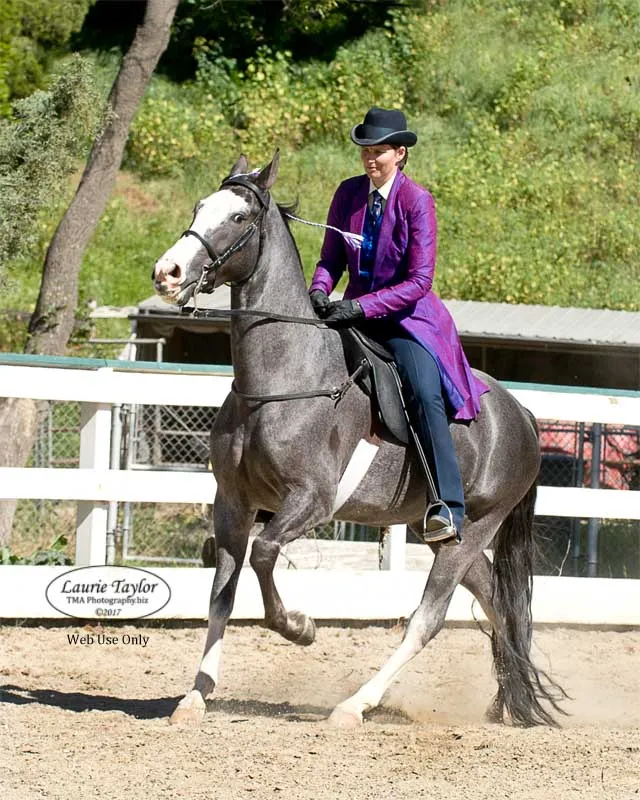 He's Shakin Not Stirred