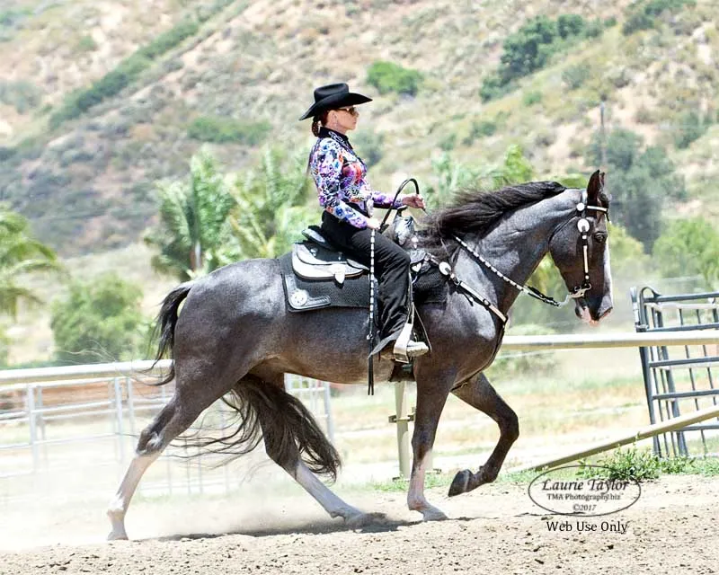 He's Shakin Not Stirred