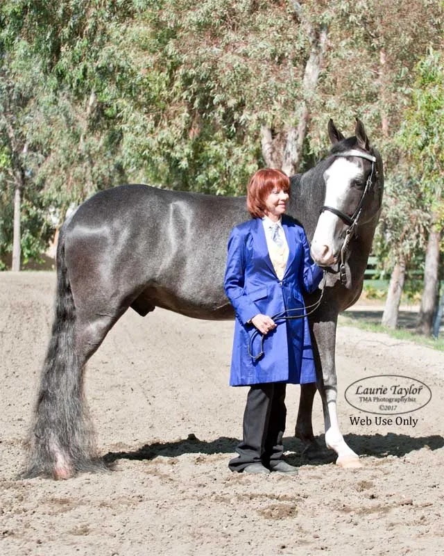 He's Shakin Not Stirred