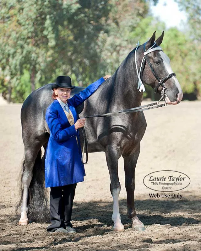 He's Shakin Not Stirred