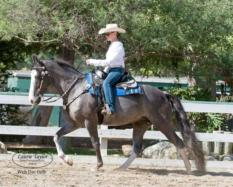 He's Shakin Not Stirred