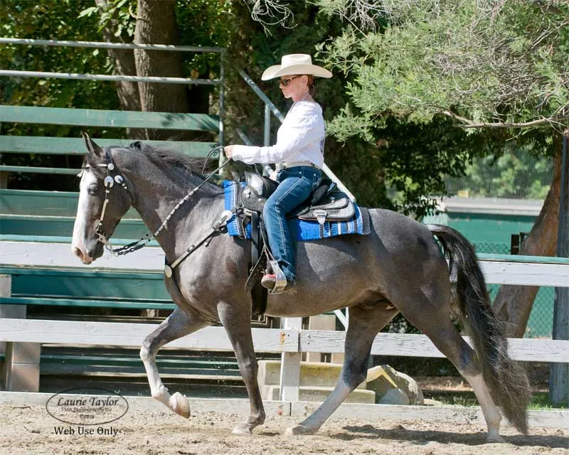 He's Shakin Not Stirred