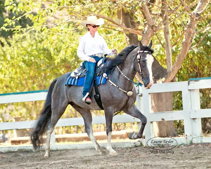 He's Shakin Not Stirred