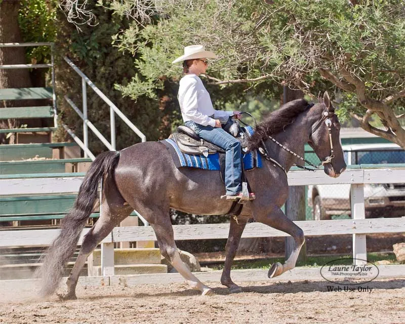 He's Shakin Not Stirred