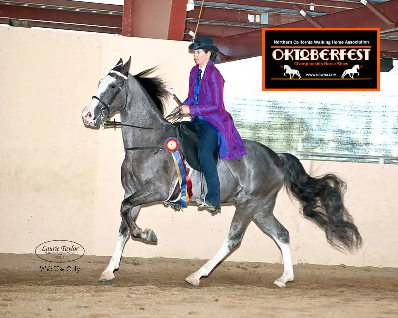 He's Shakin Not Stirred