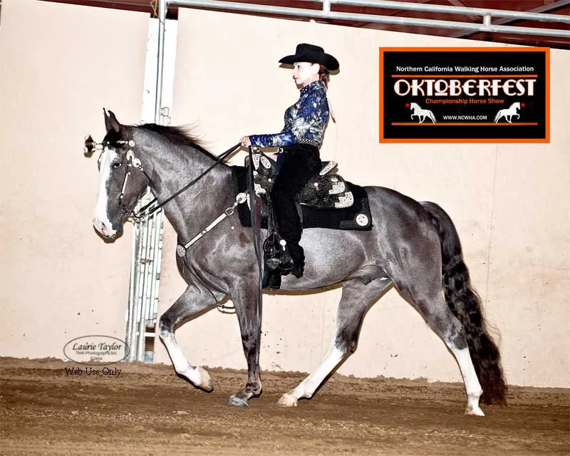 He's Shakin Not Stirred