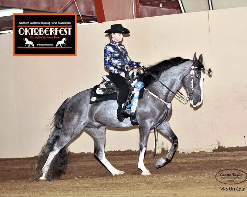 He's Shakin Not Stirred