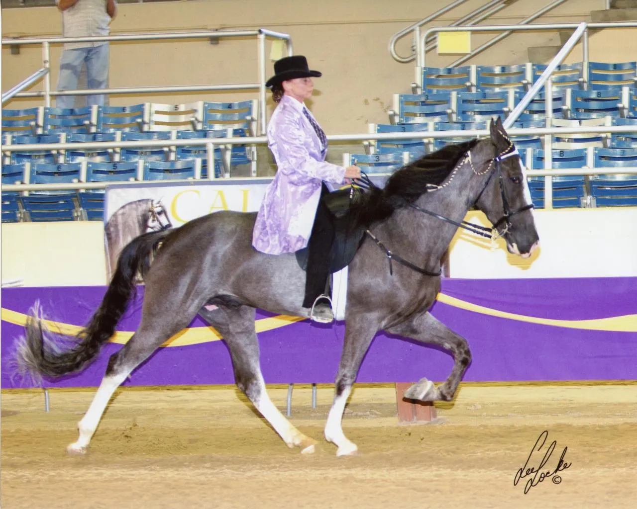 He's Shakin Not Stirred