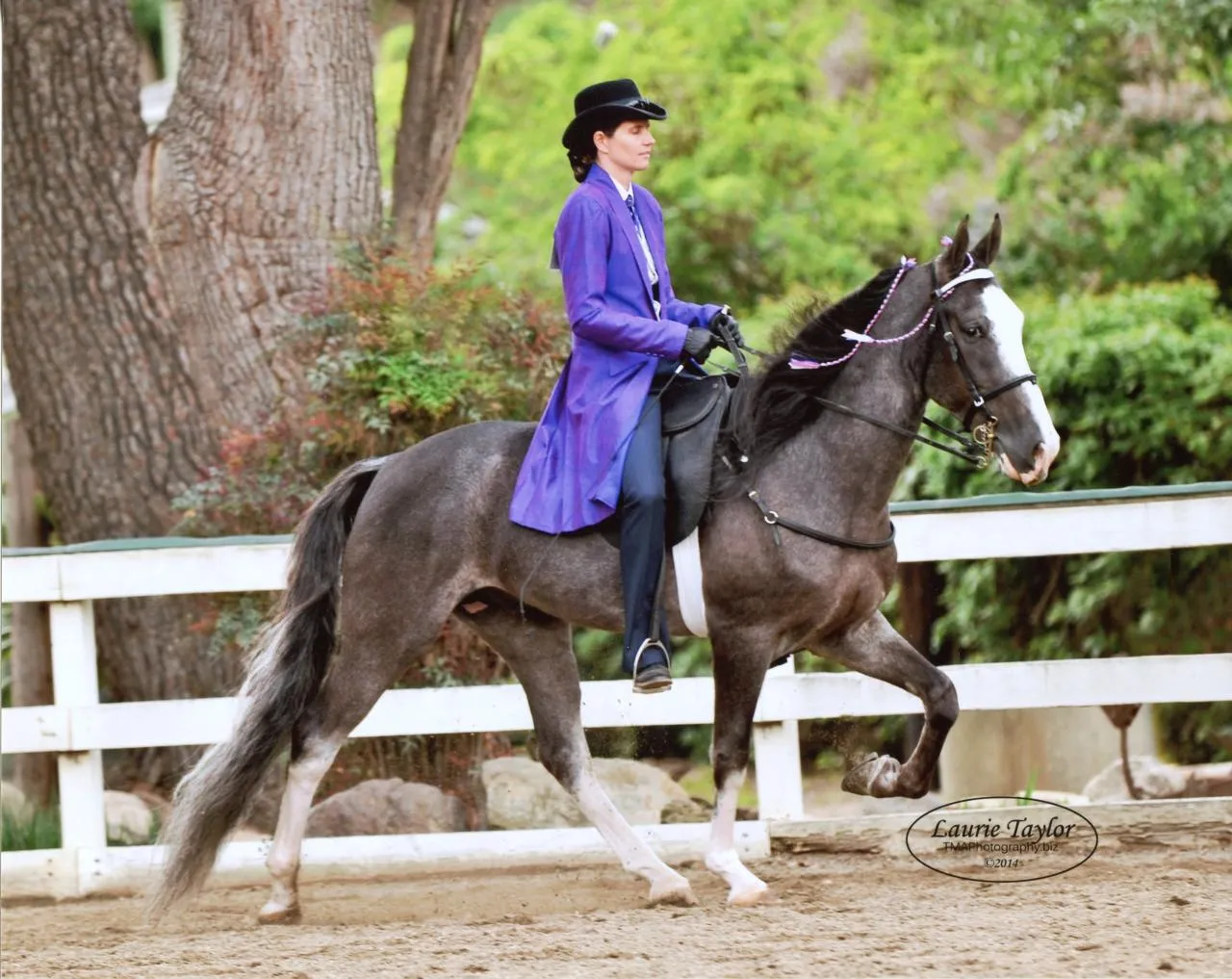 He's Shakin Not Stirred