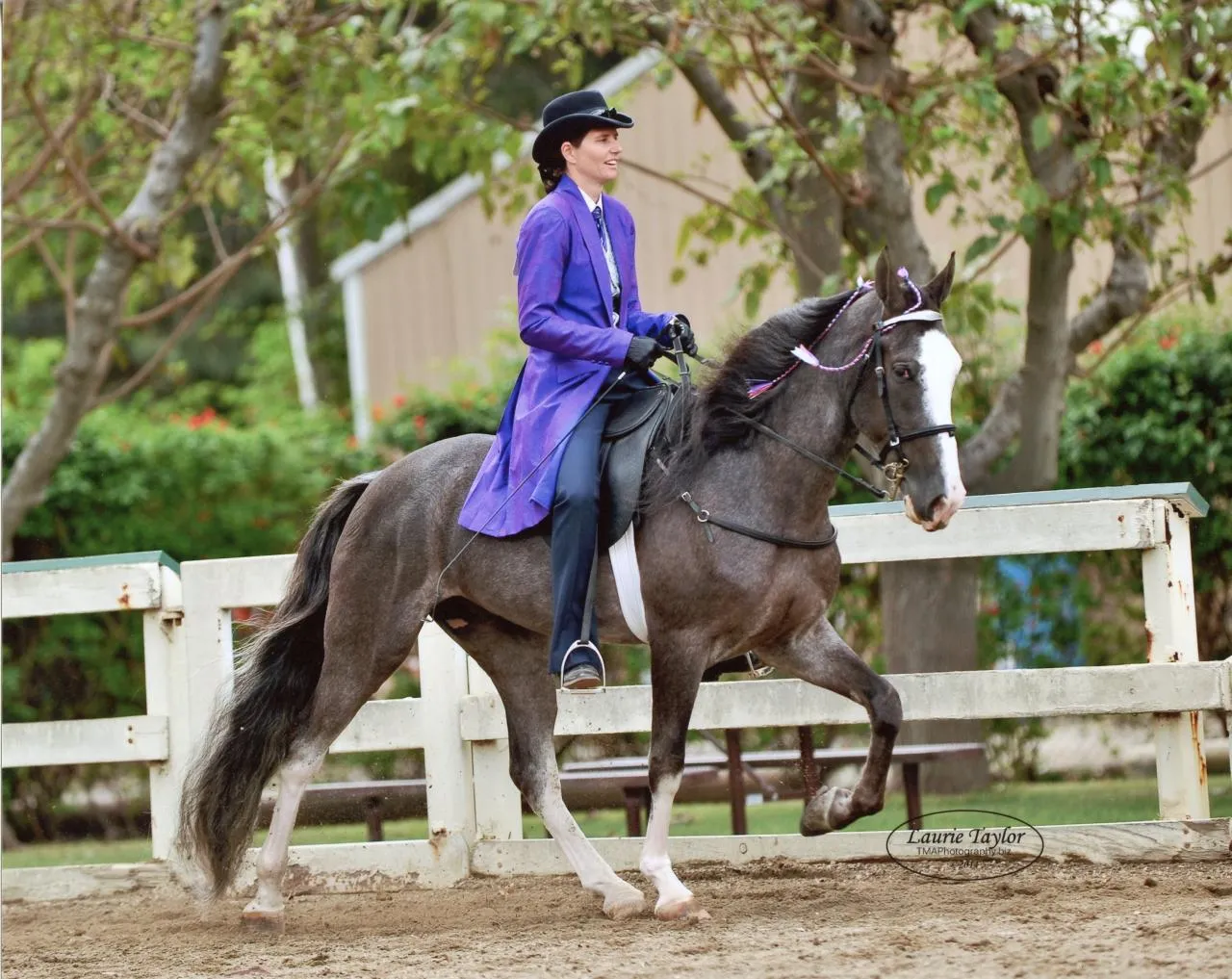 He's Shakin Not Stirred