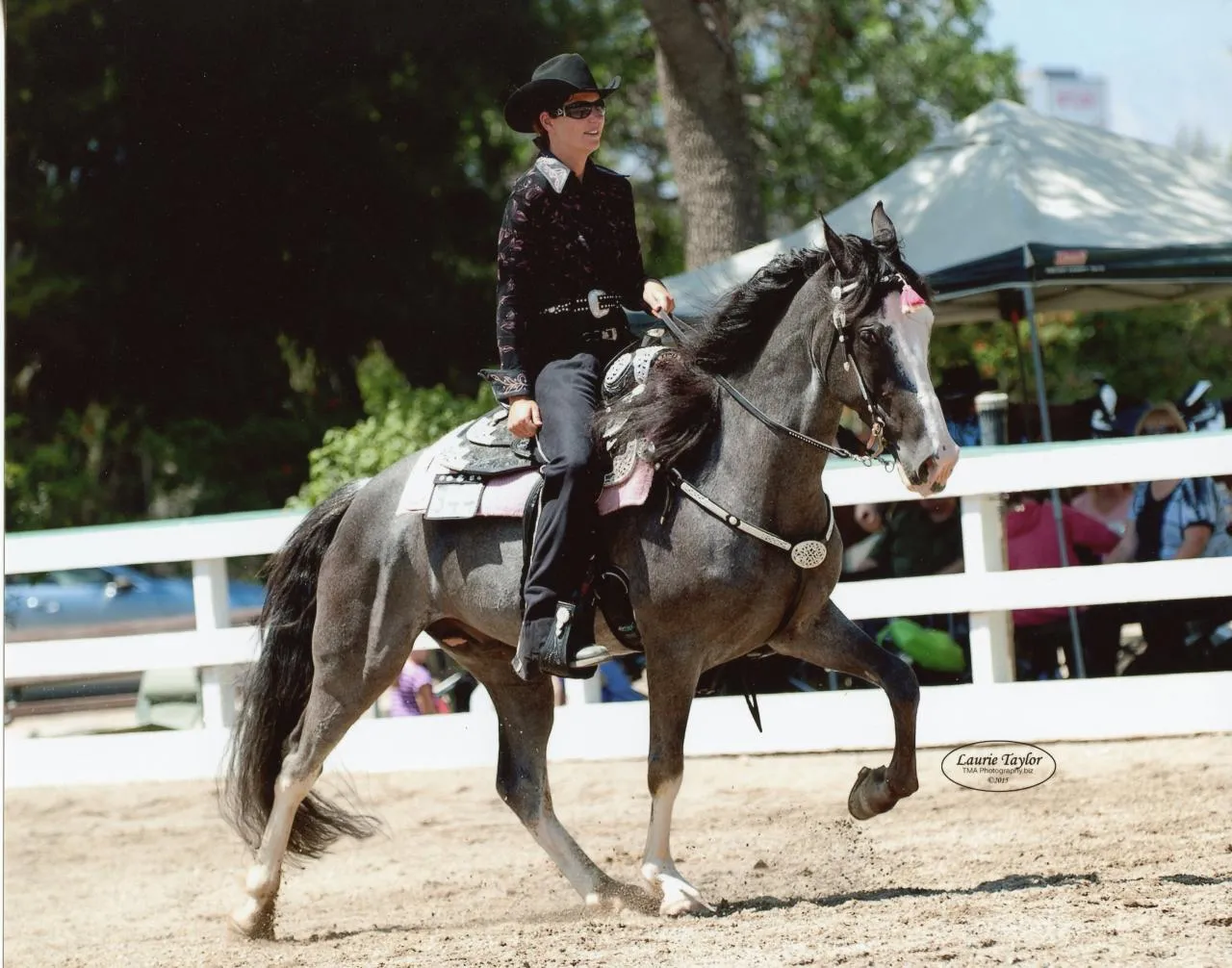 He's Shakin Not Stirred