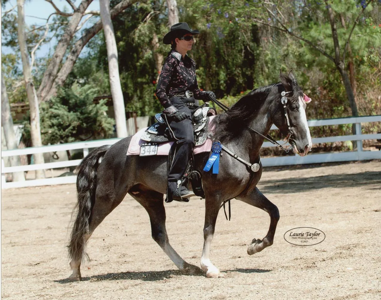 He's Shakin Not Stirred